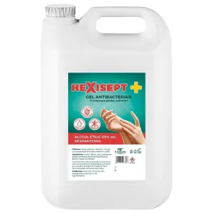 Gel antibacterian 5L | Hexisept | Fiterman