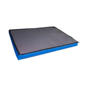 Covor dezinfectie pentru incaltaminte 60 x 90 x 2 cm  | PEsan